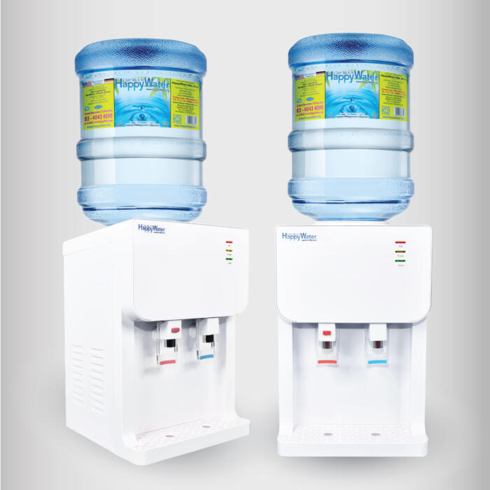 Hot and Cold Bottle Type Water Dispenser